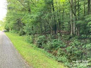 99999 Moffitt Branch Road - Photo 3