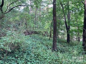 99999 Moffitt Branch Road - Photo 4