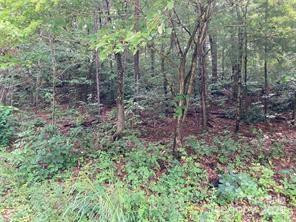 99999 Moffitt Branch Road - Photo 6