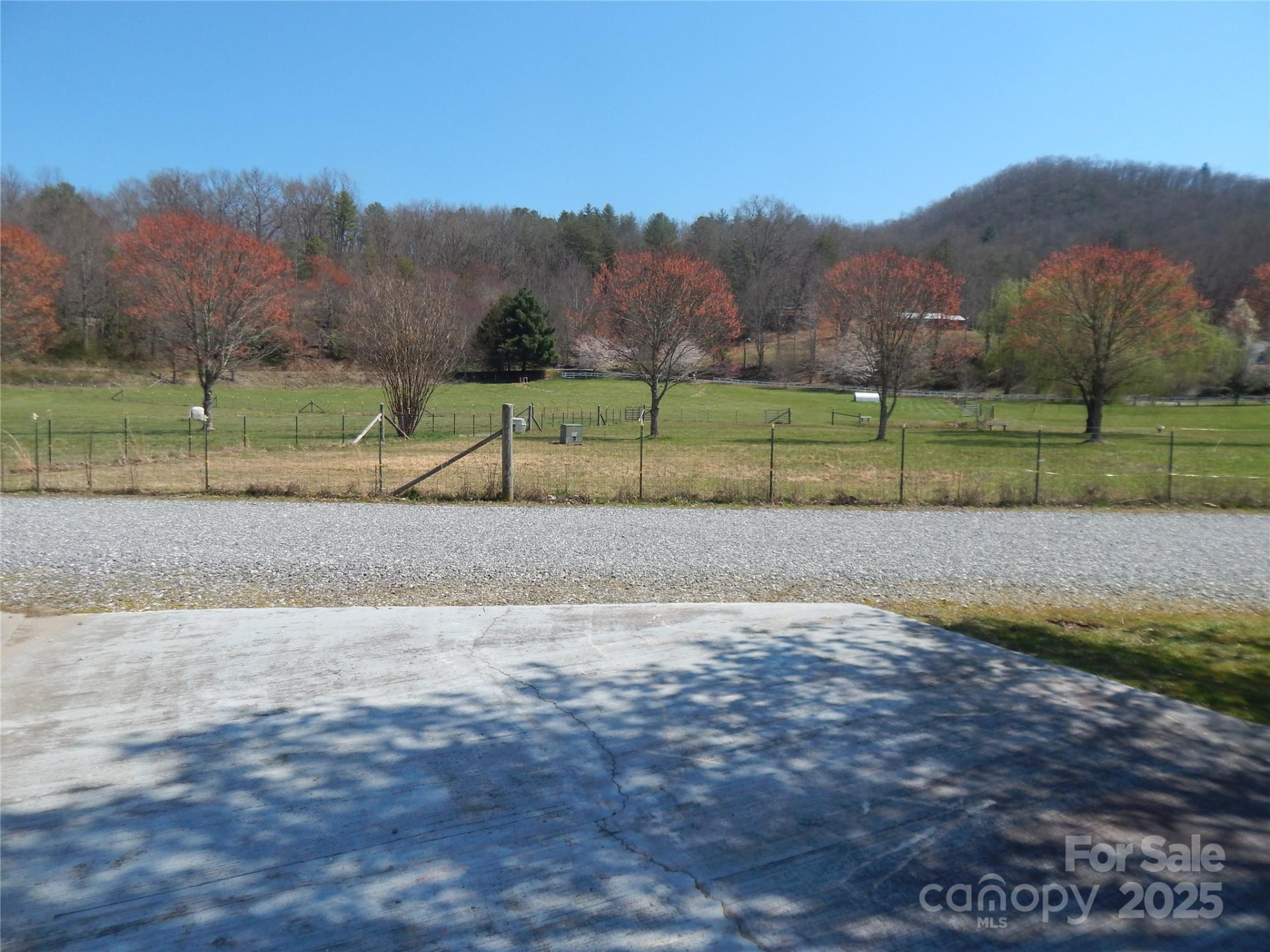 50 Timber Leaf Drive #8 - Photo 8