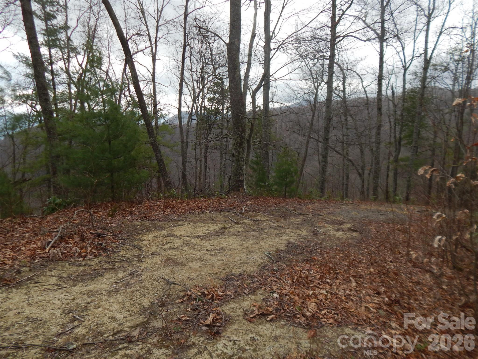 5 Sigogglin Trail - Photo 2
