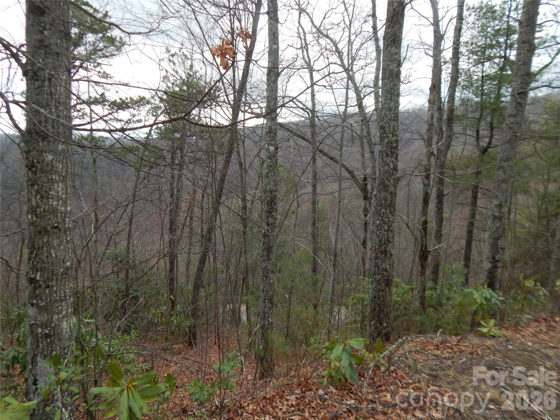 5 Sigogglin Trail - Photo 12