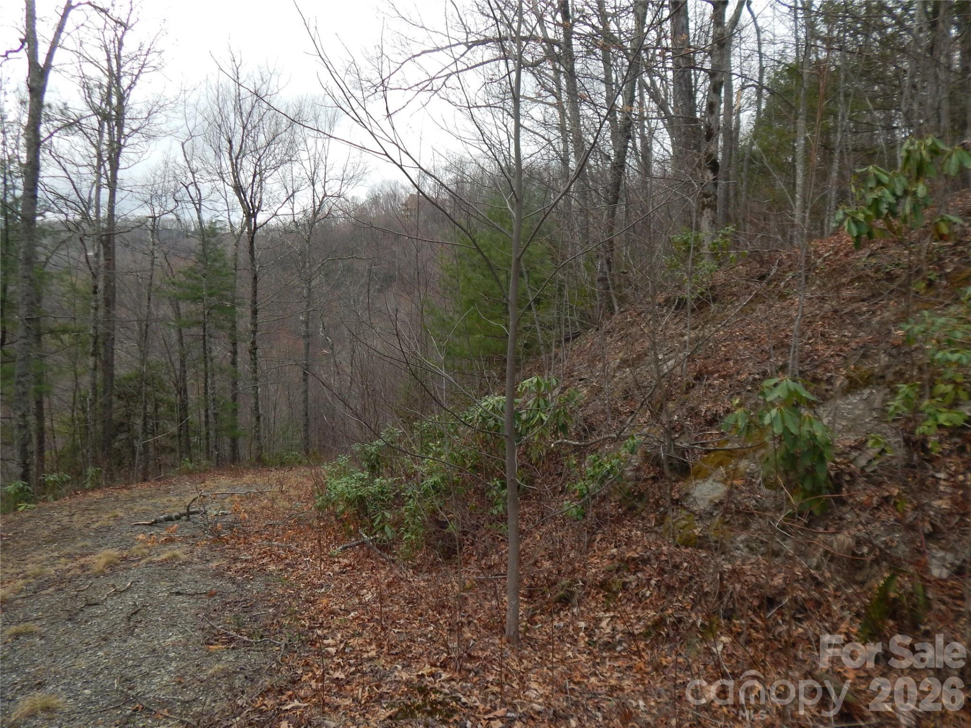 5 Sigogglin Trail - Photo 13