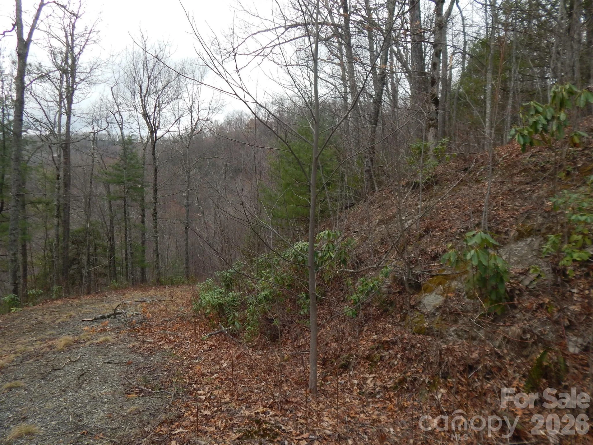 5 Sigogglin Trail - Photo 13
