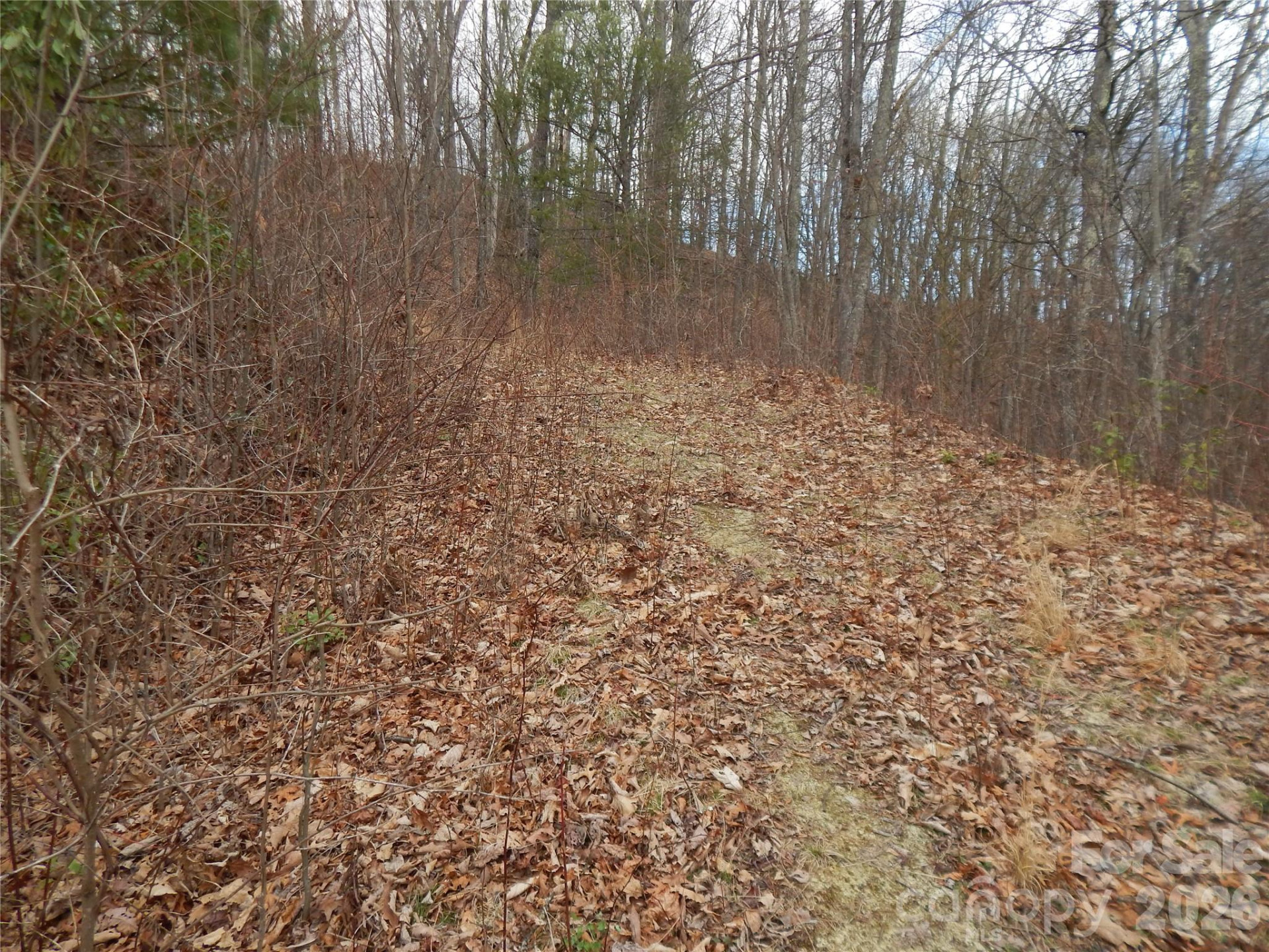 5 Sigogglin Trail - Photo 14