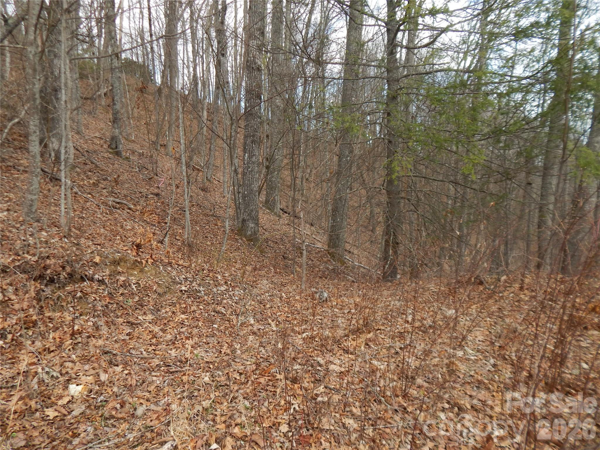 5 Sigogglin Trail - Photo 15
