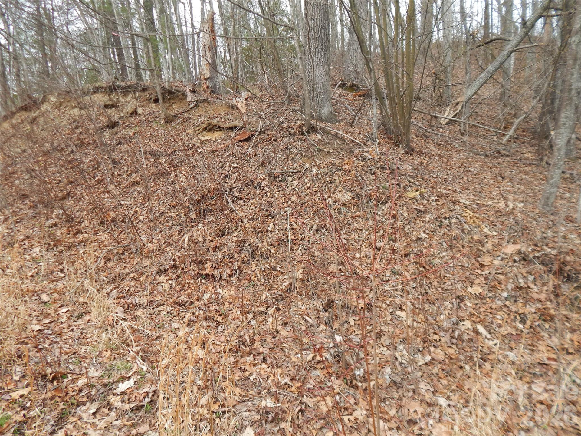 5 Sigogglin Trail - Photo 16