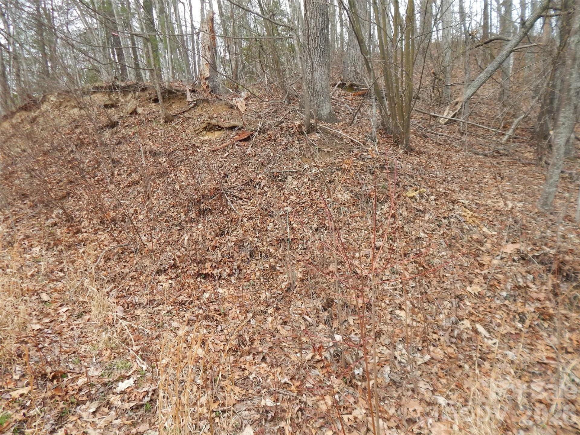 5 Sigogglin Trail - Photo 16