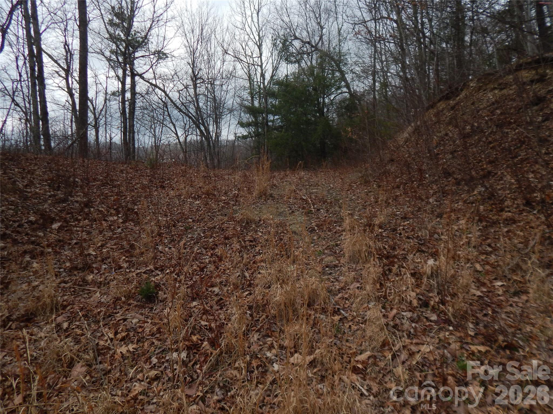 5 Sigogglin Trail - Photo 17