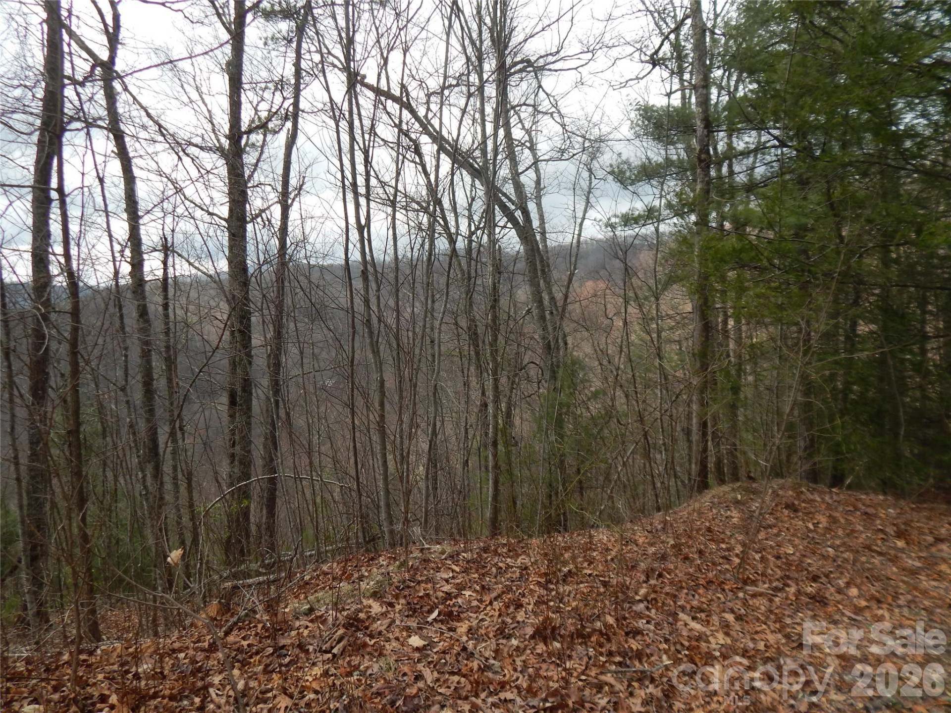 5 Sigogglin Trail - Photo 18