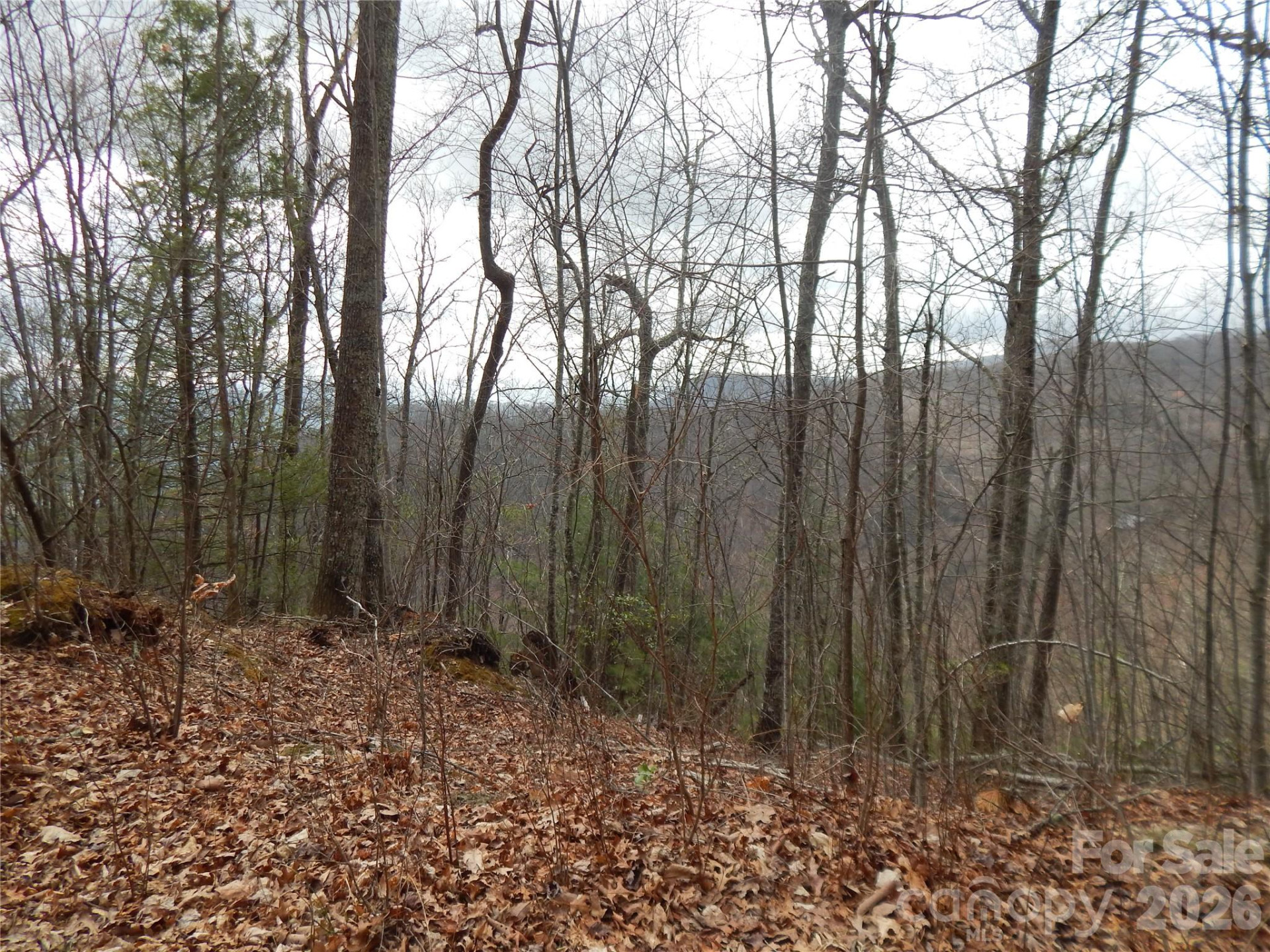 5 Sigogglin Trail - Photo 19