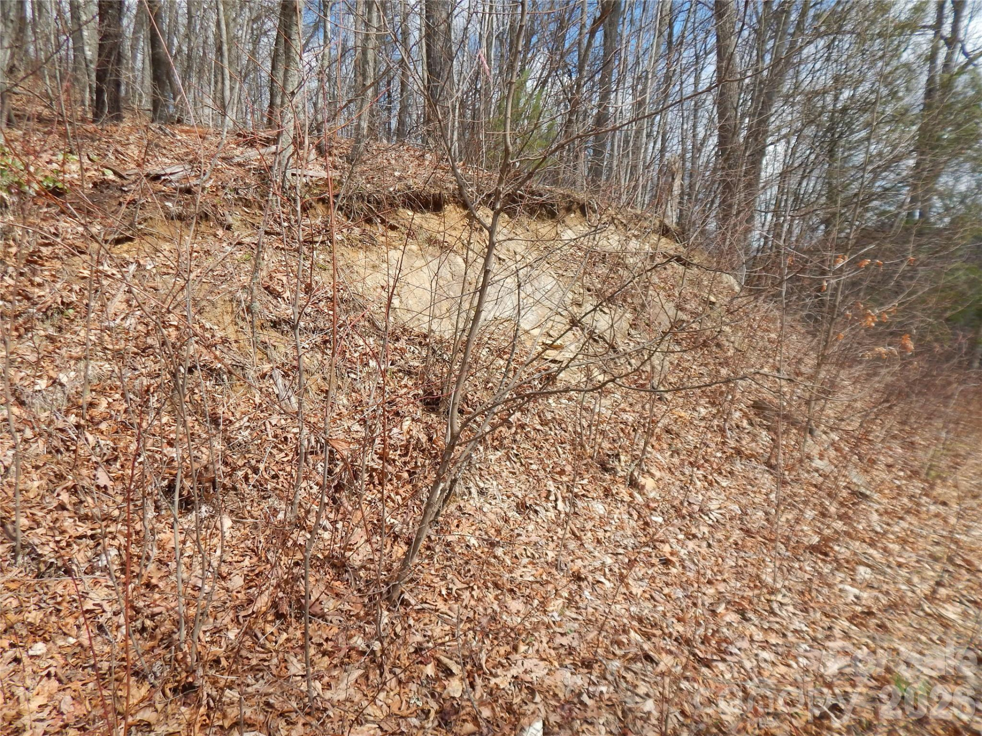 5 Sigogglin Trail - Photo 20