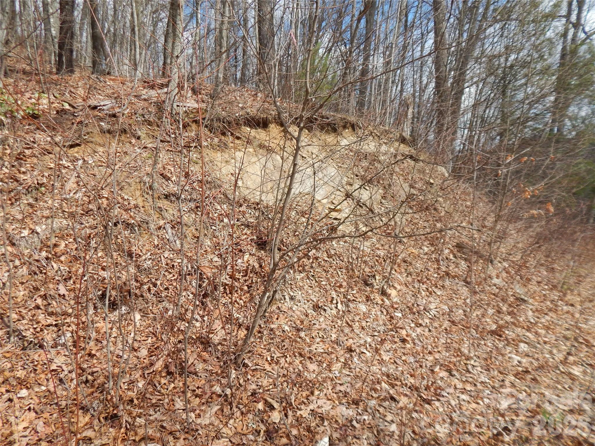 5 Sigogglin Trail - Photo 20