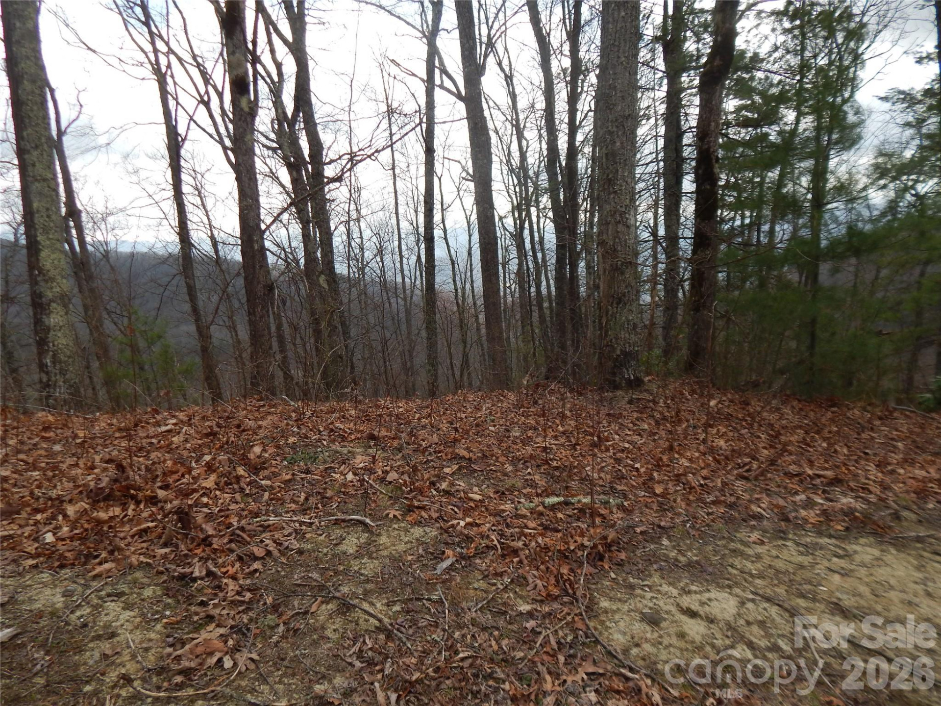 5 Sigogglin Trail - Photo 3