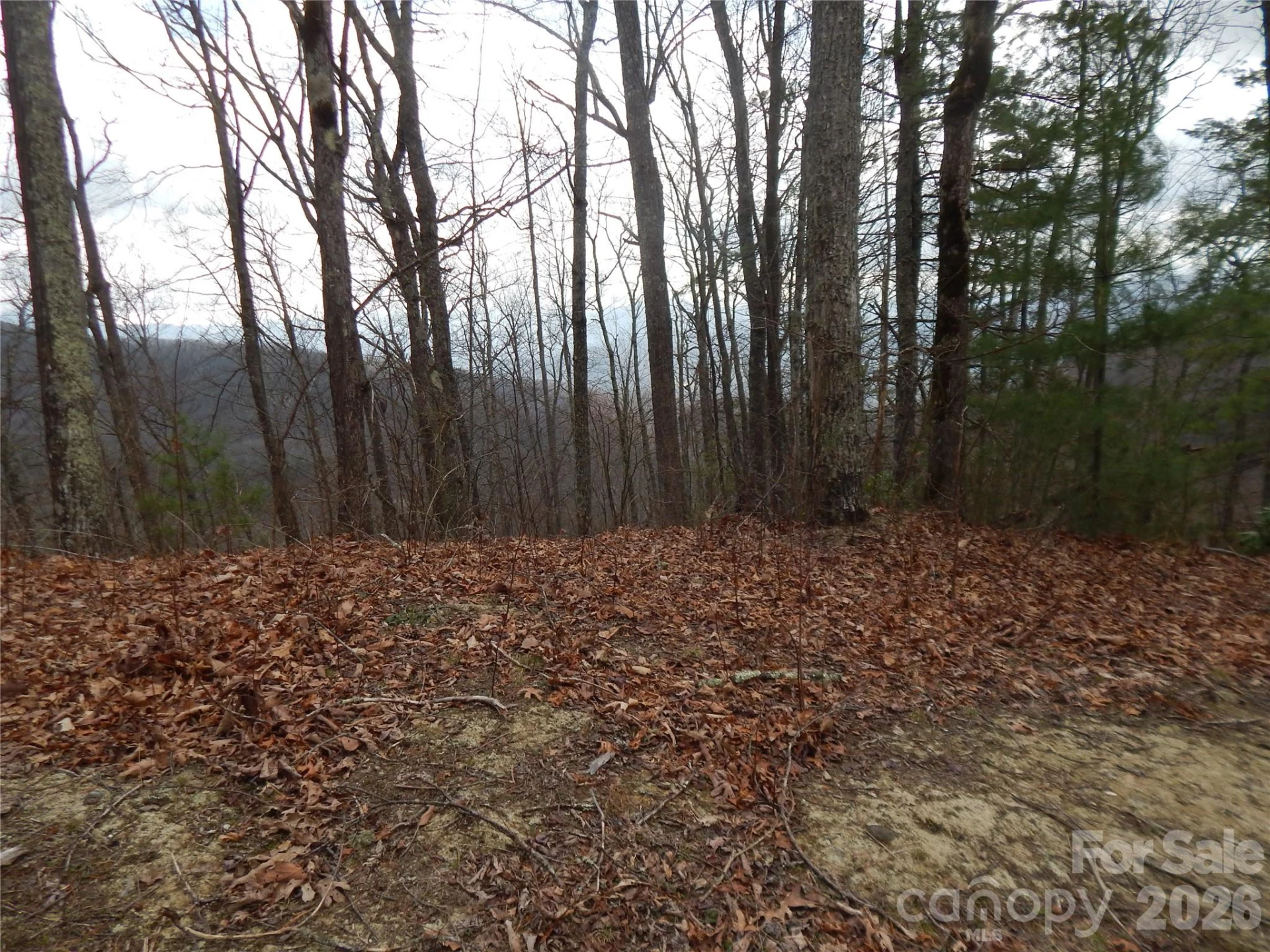 5 Sigogglin Trail - Photo 3