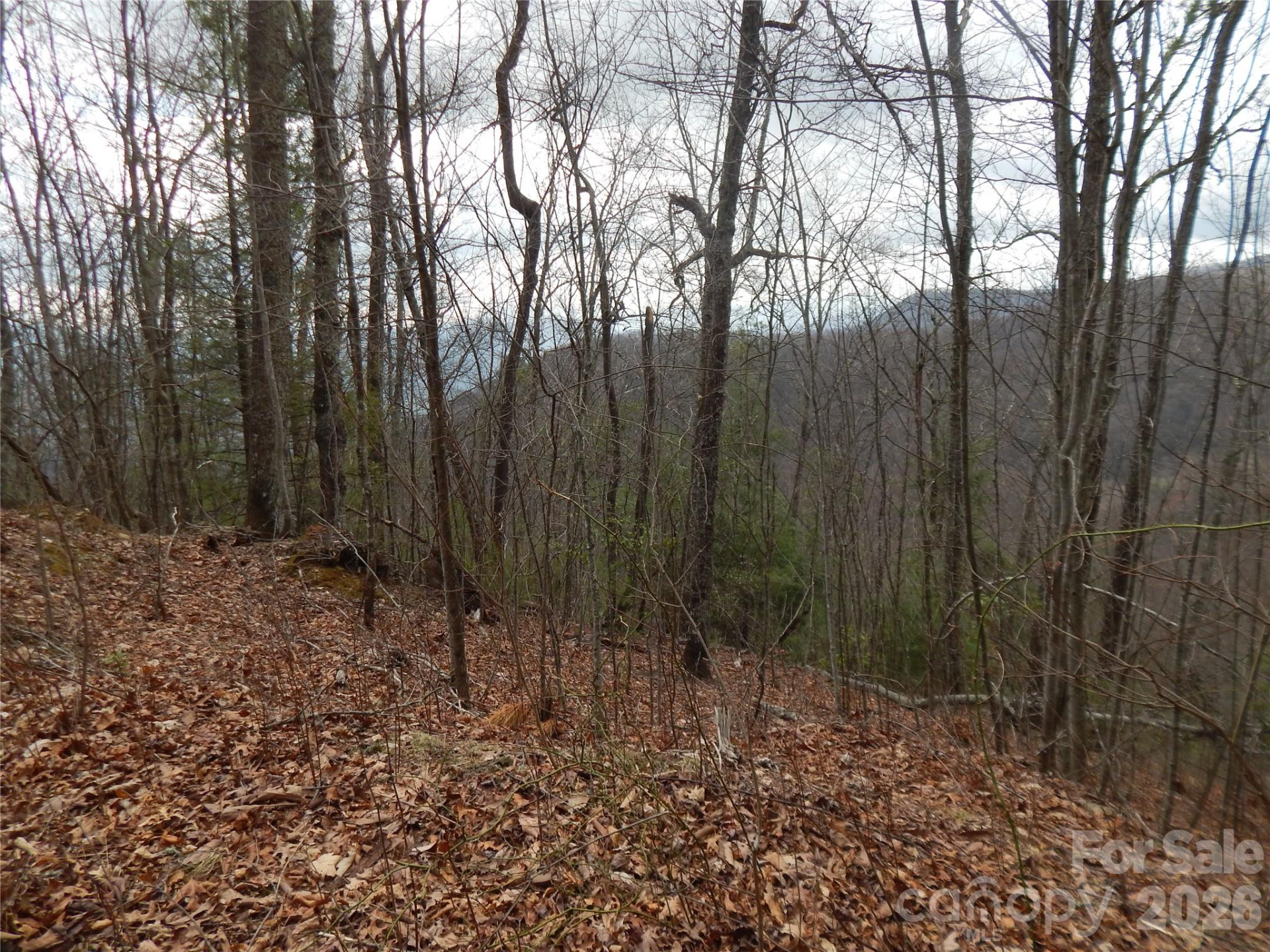 5 Sigogglin Trail - Photo 21