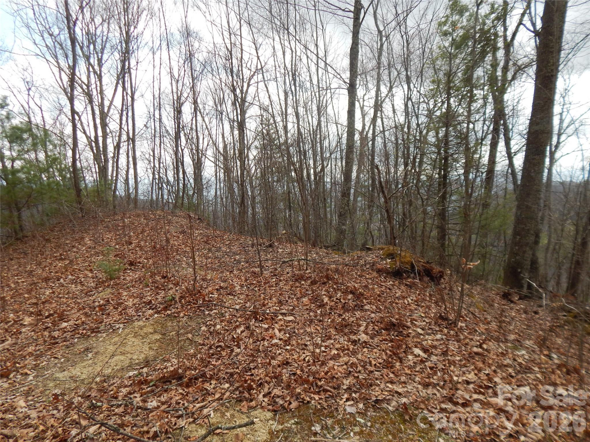 5 Sigogglin Trail - Photo 4