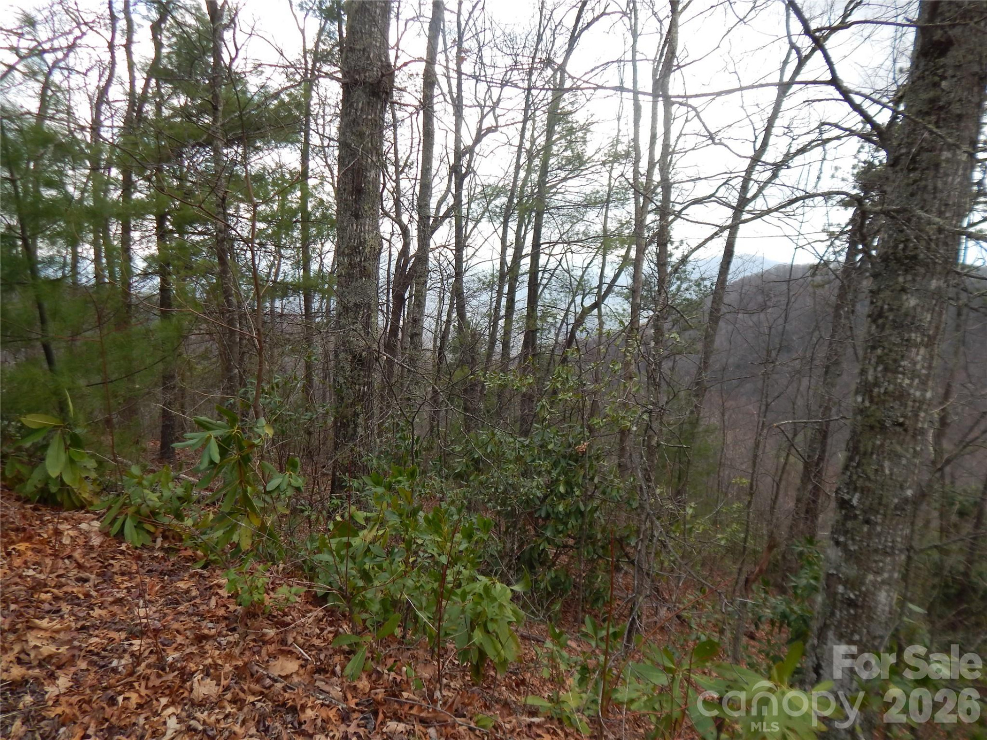 5 Sigogglin Trail - Photo 5