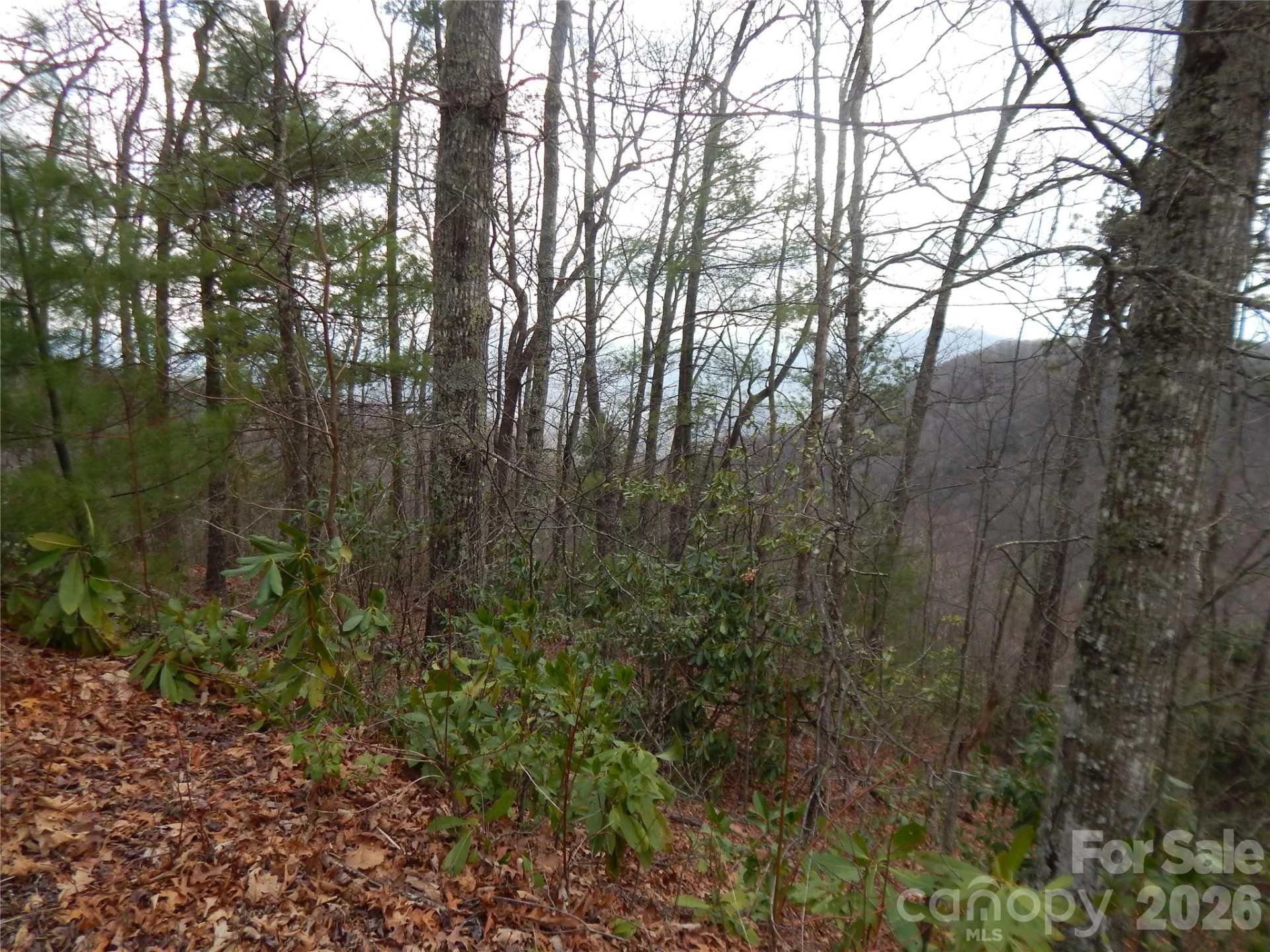 5 Sigogglin Trail - Photo 5