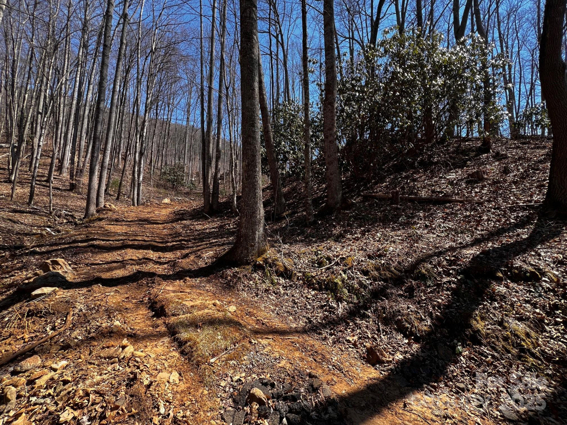 0 Rocky Face Drive #RF-2 - Photo 2