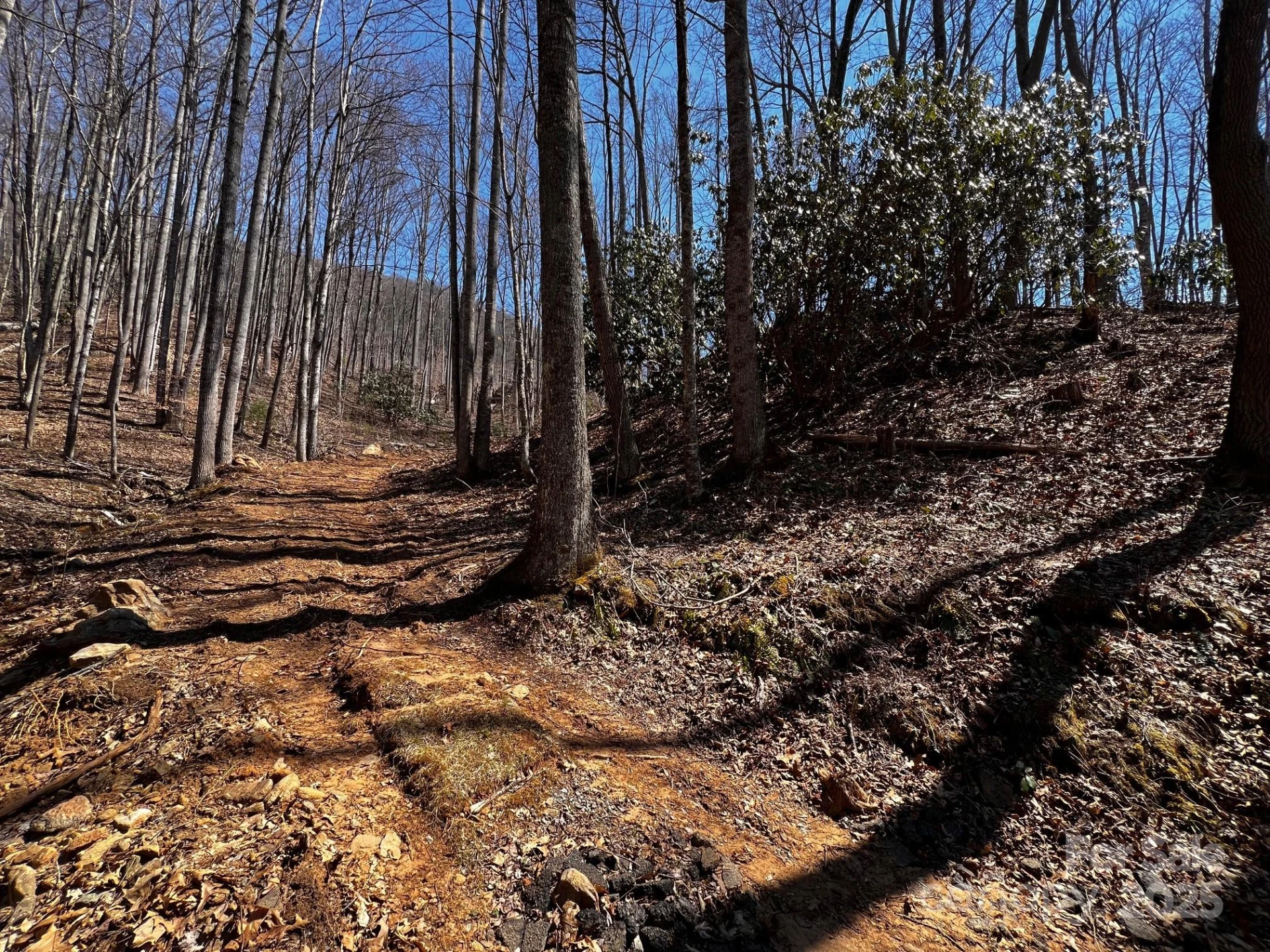 0 Rocky Face Drive #RF-2 - Photo 2
