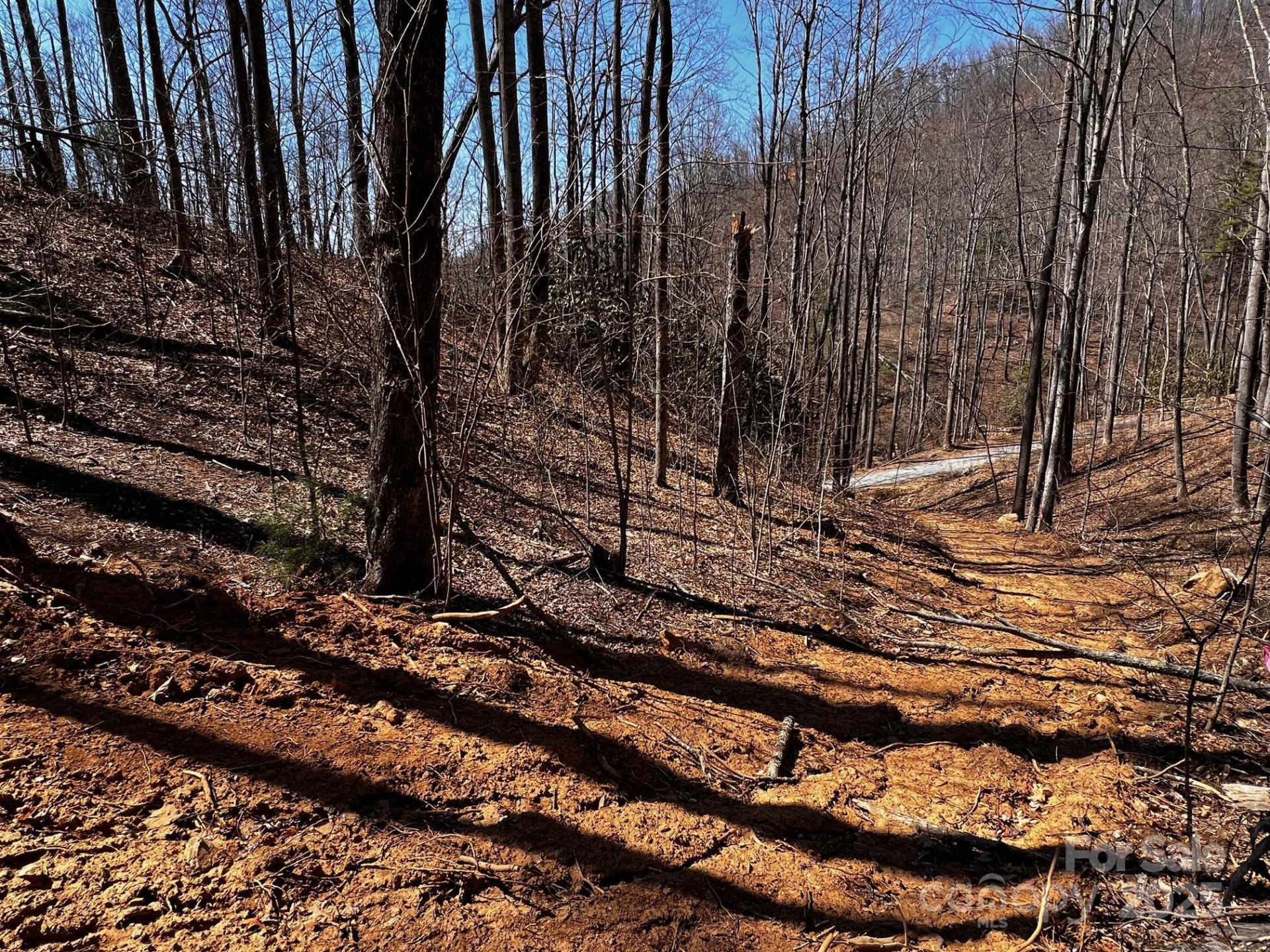 0 Rocky Face Drive #RF-2 - Photo 3