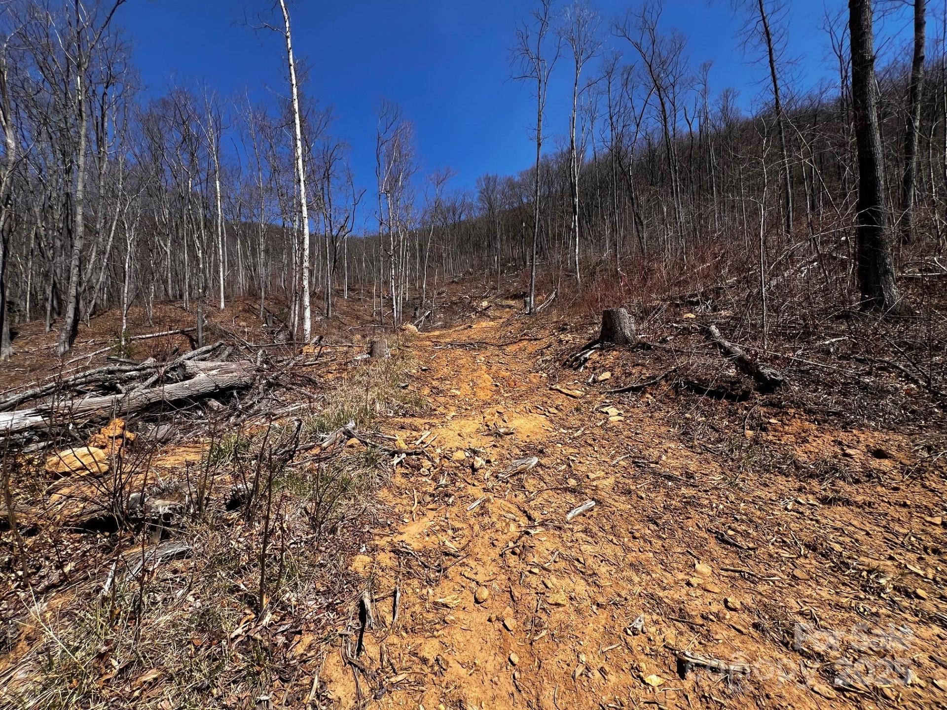 0 Rocky Face Drive #RF-2 - Photo 4