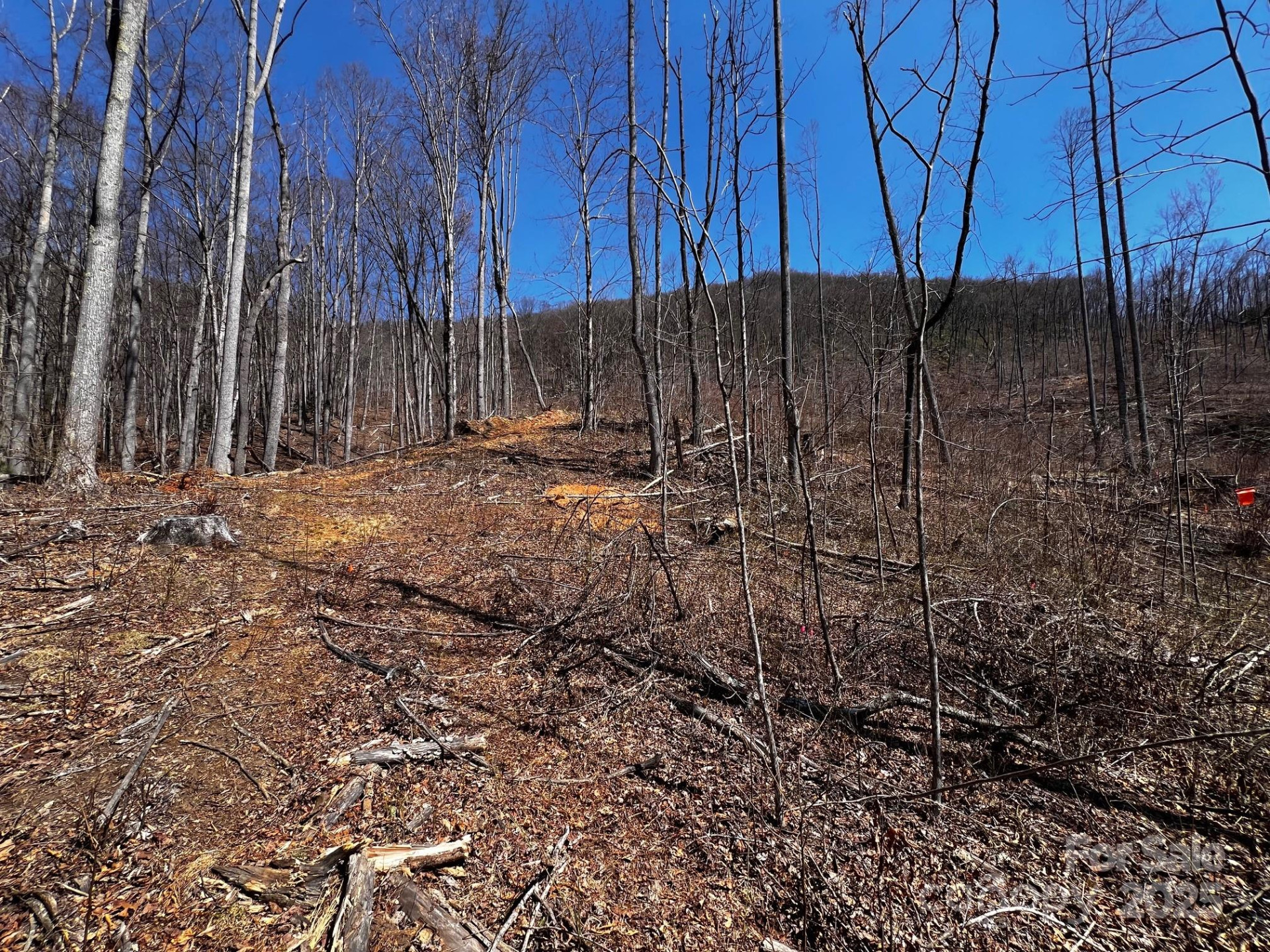 0 Rocky Face Drive #RF-2 - Photo 5