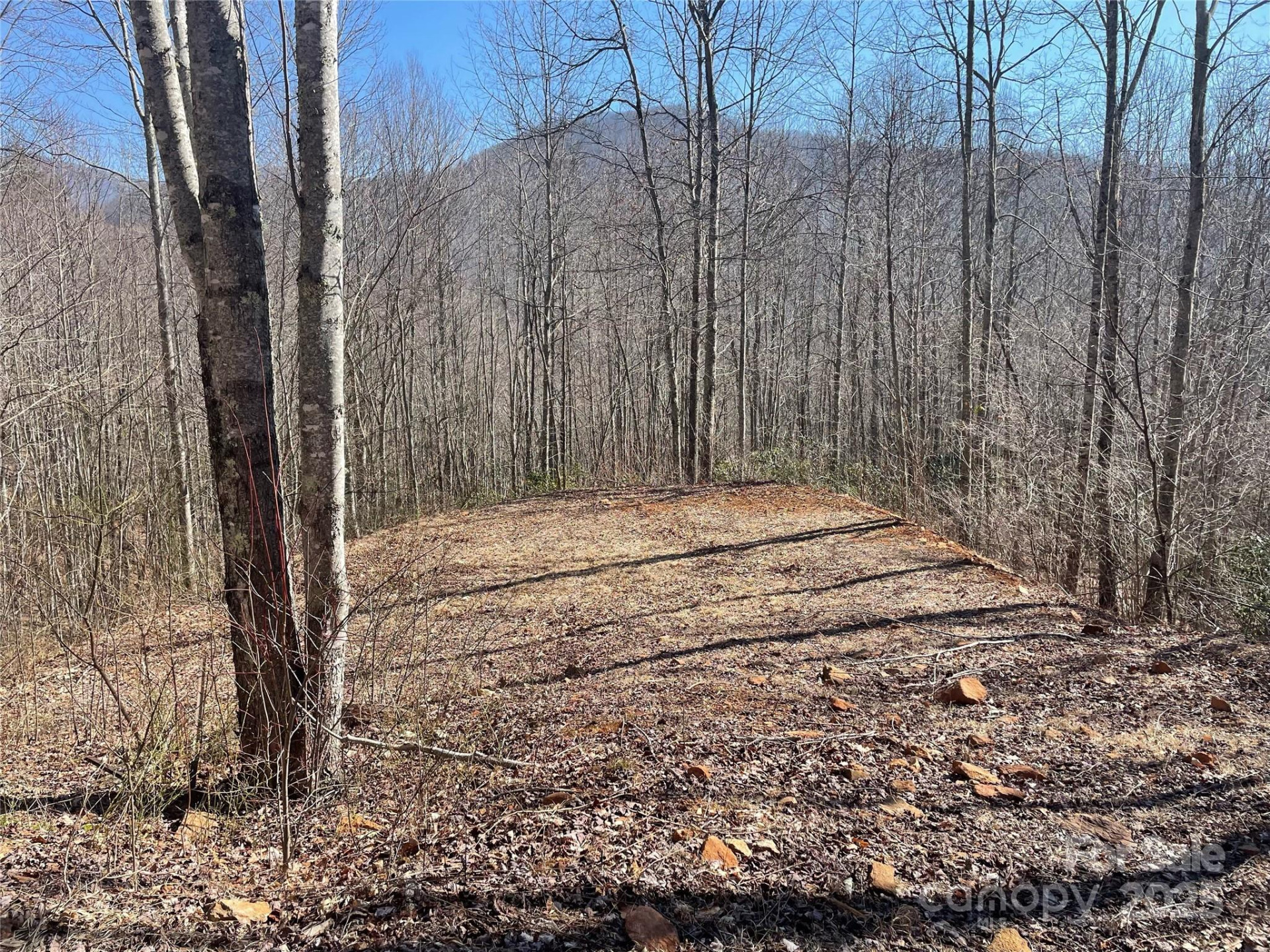 Lt 264 Cabin Flats Road #264 - Photo 2