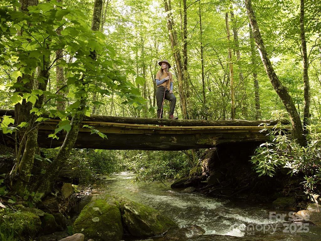 Lt 264 Cabin Flats Road #264 - Photo 19