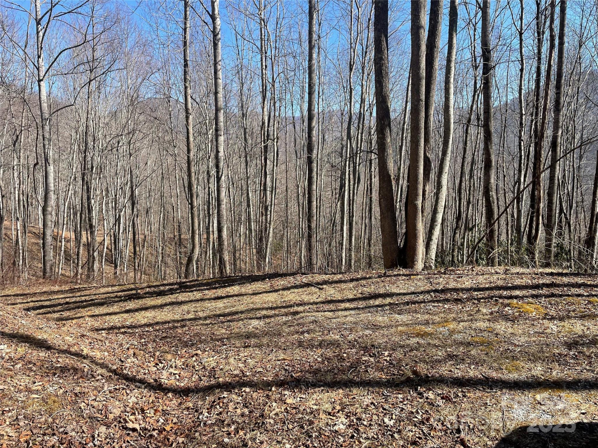 Lt 264 Cabin Flats Road #264 - Photo 3