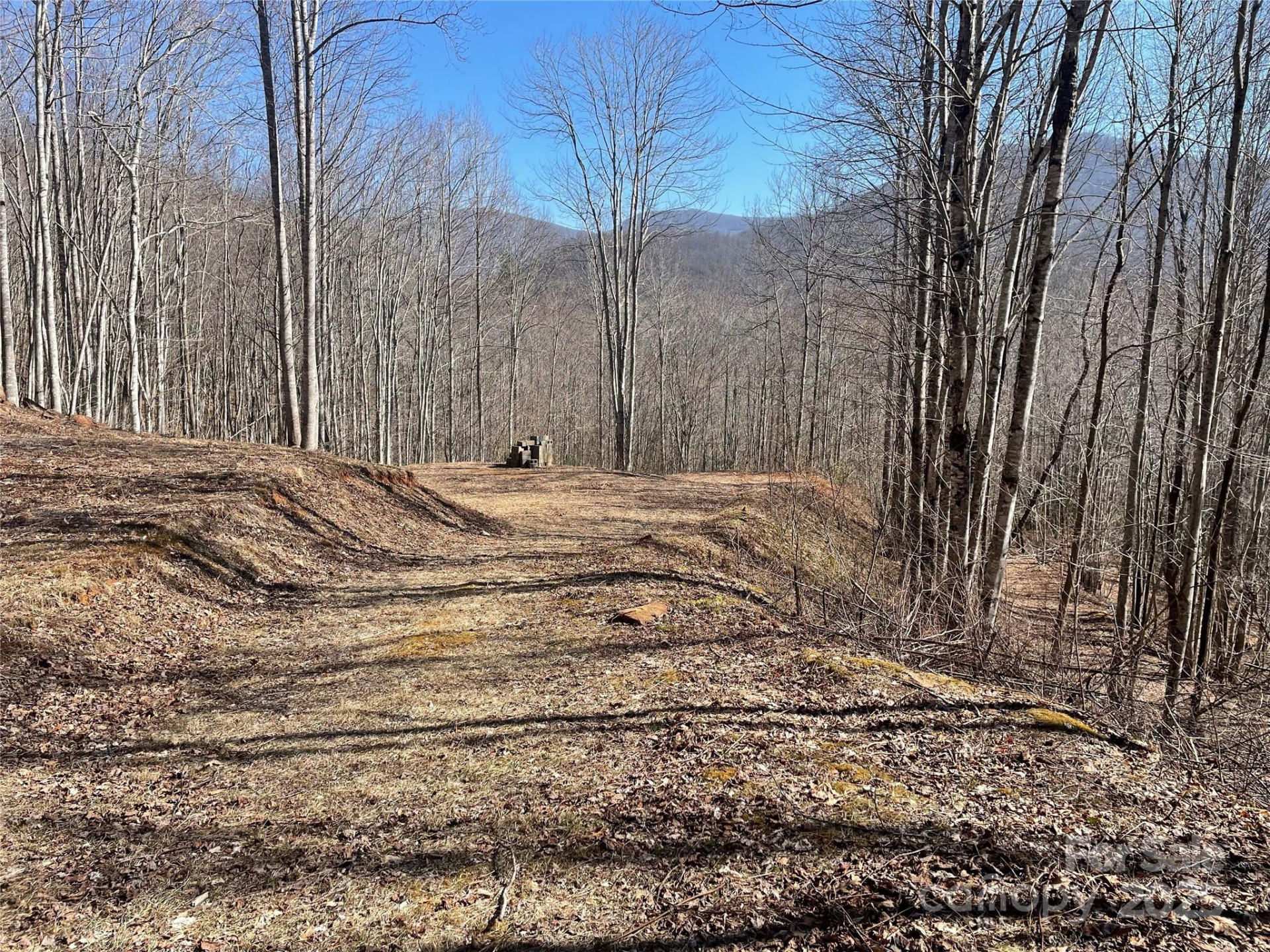 Lt 264 Cabin Flats Road #264 - Photo 4