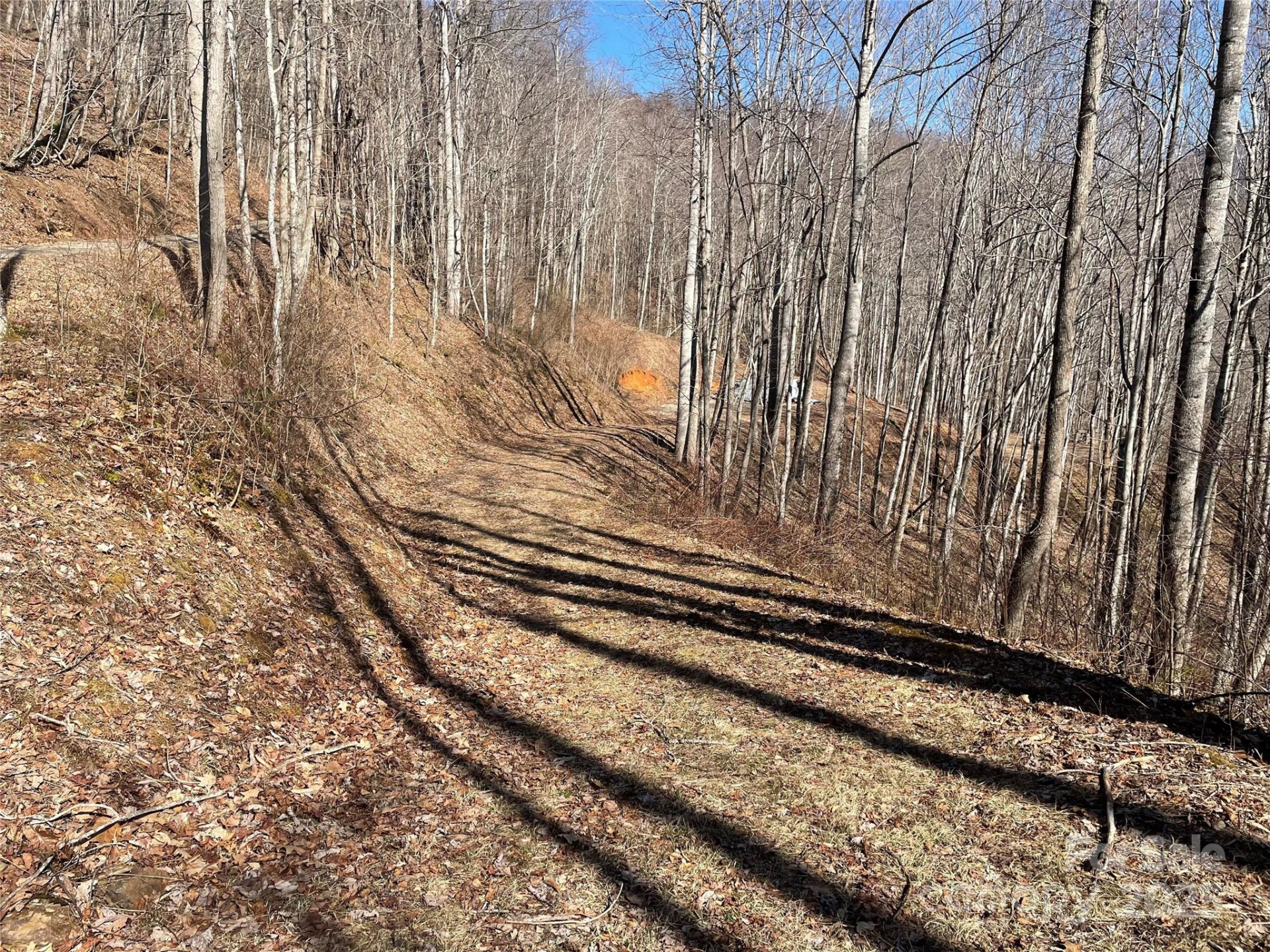 Lt 264 Cabin Flats Road #264 - Photo 5