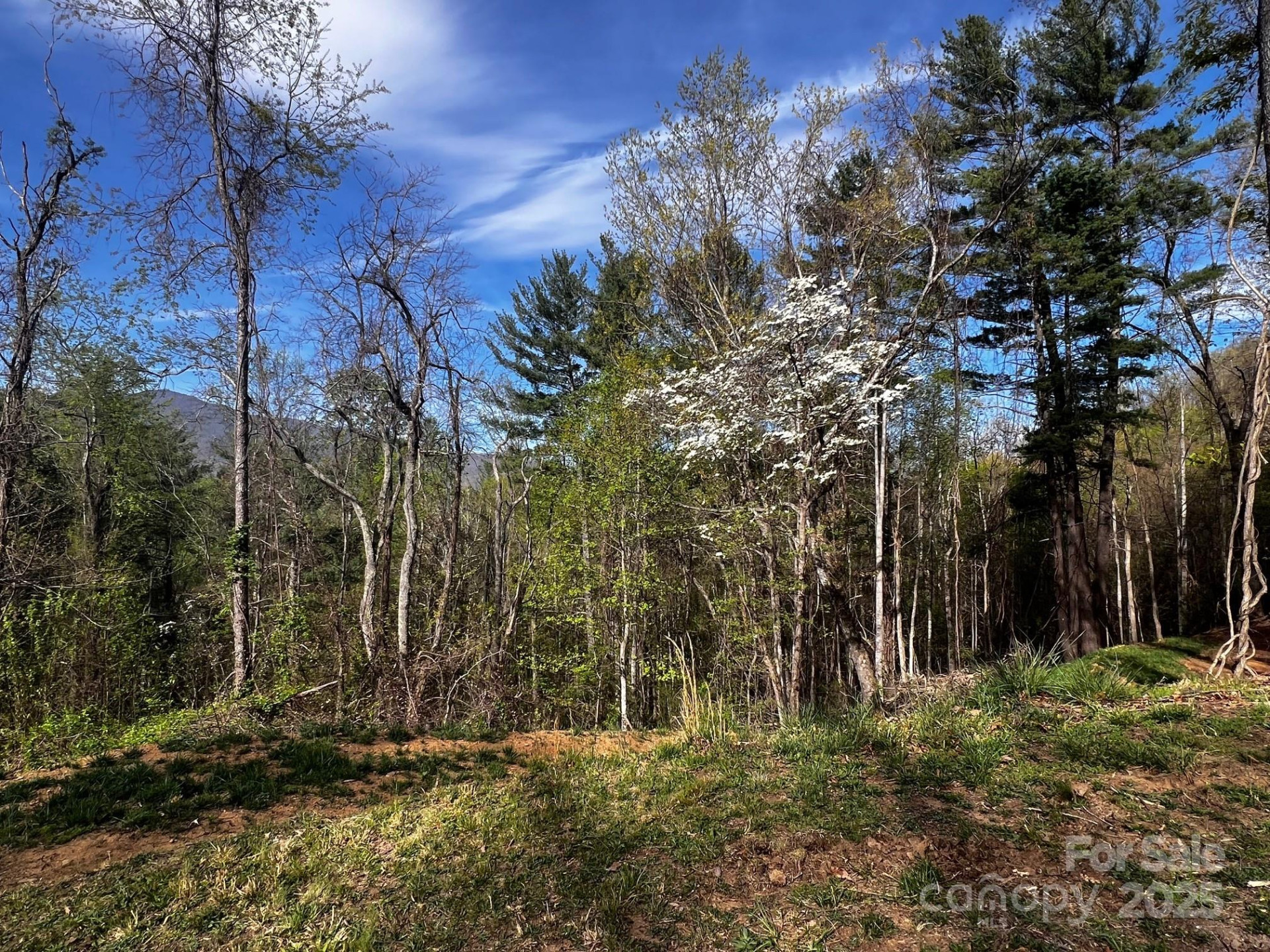 0 Little Creek Drive #5A