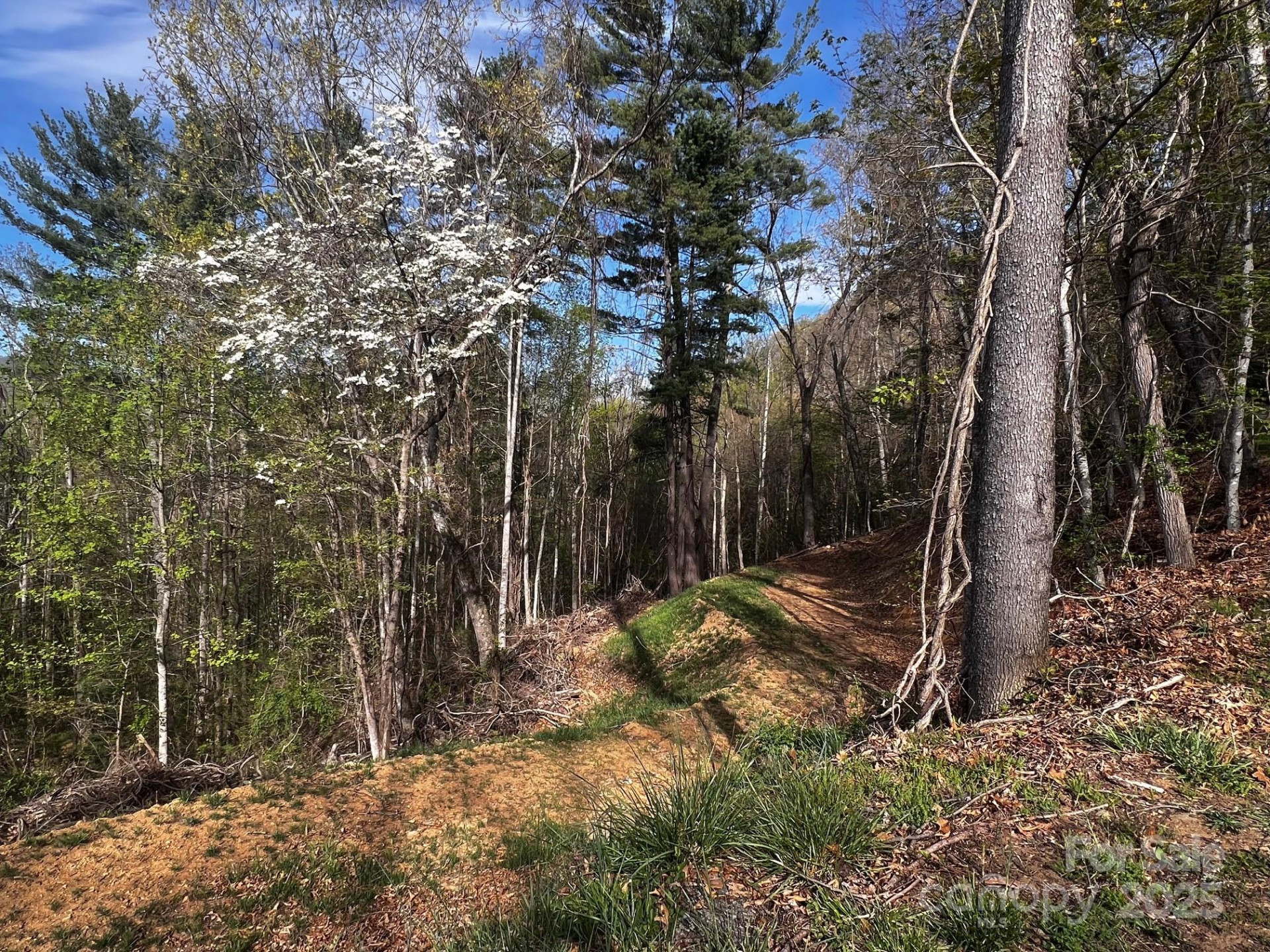 0 Little Creek Drive #5A - Photo 2