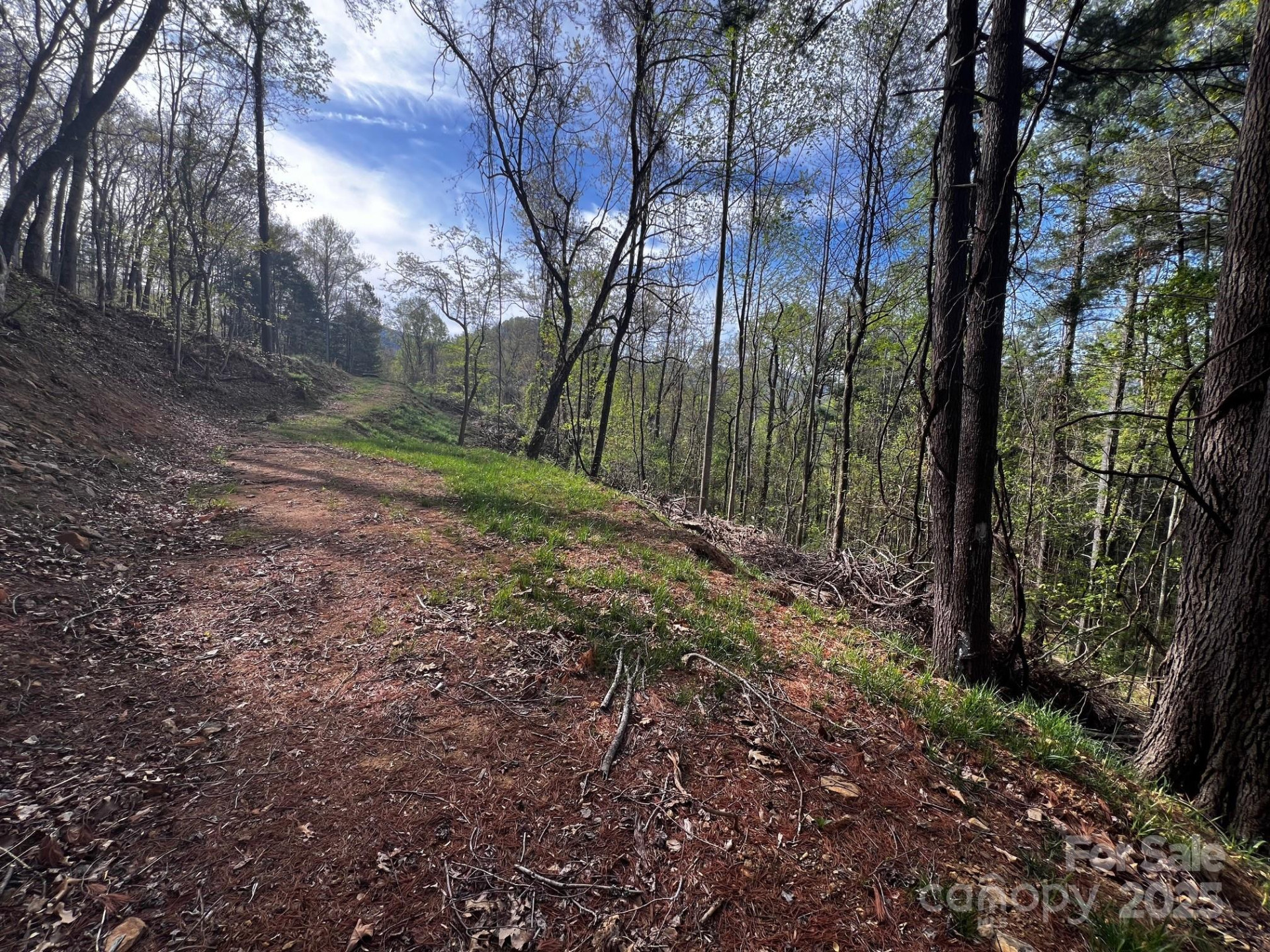 0 Little Creek Drive #5A - Photo 3