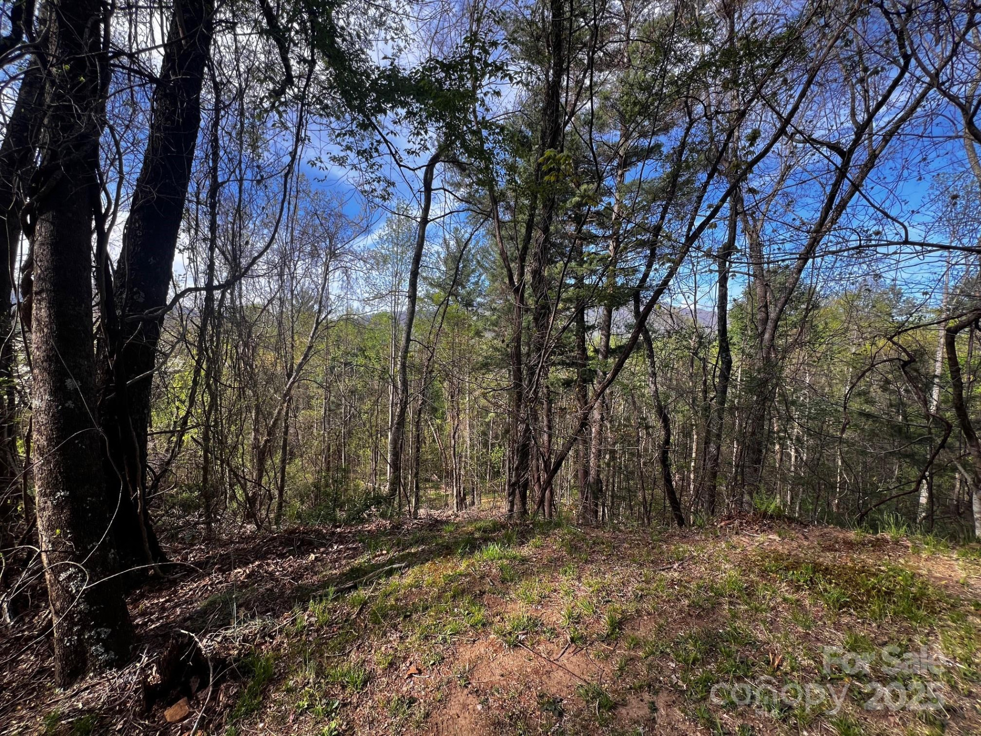 0 Little Creek Drive #5A - Photo 4