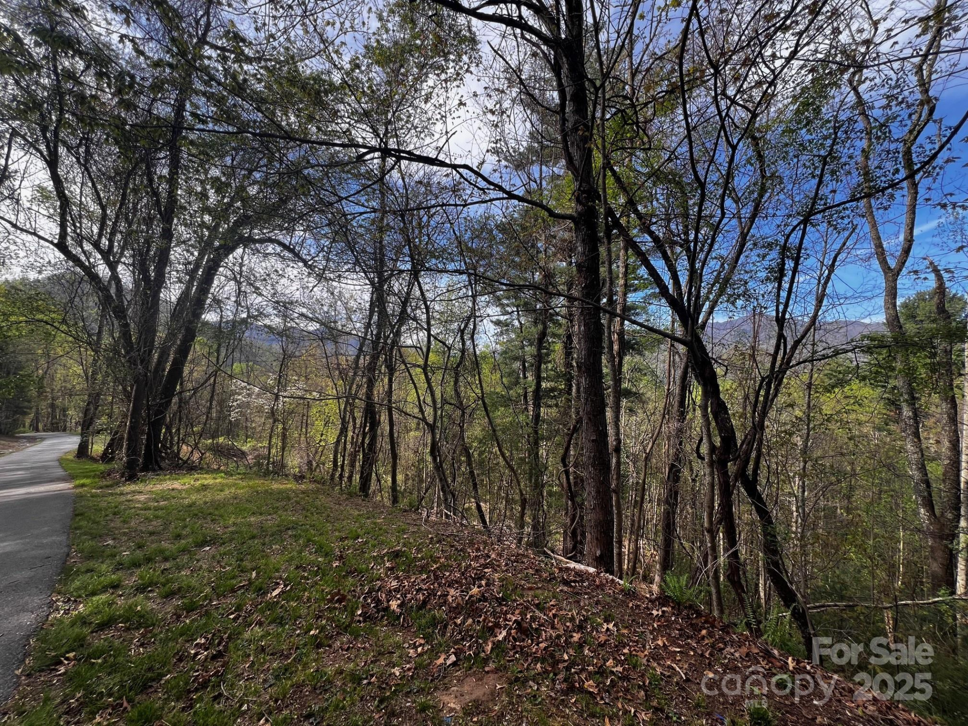 0 Little Creek Drive #5A - Photo 5