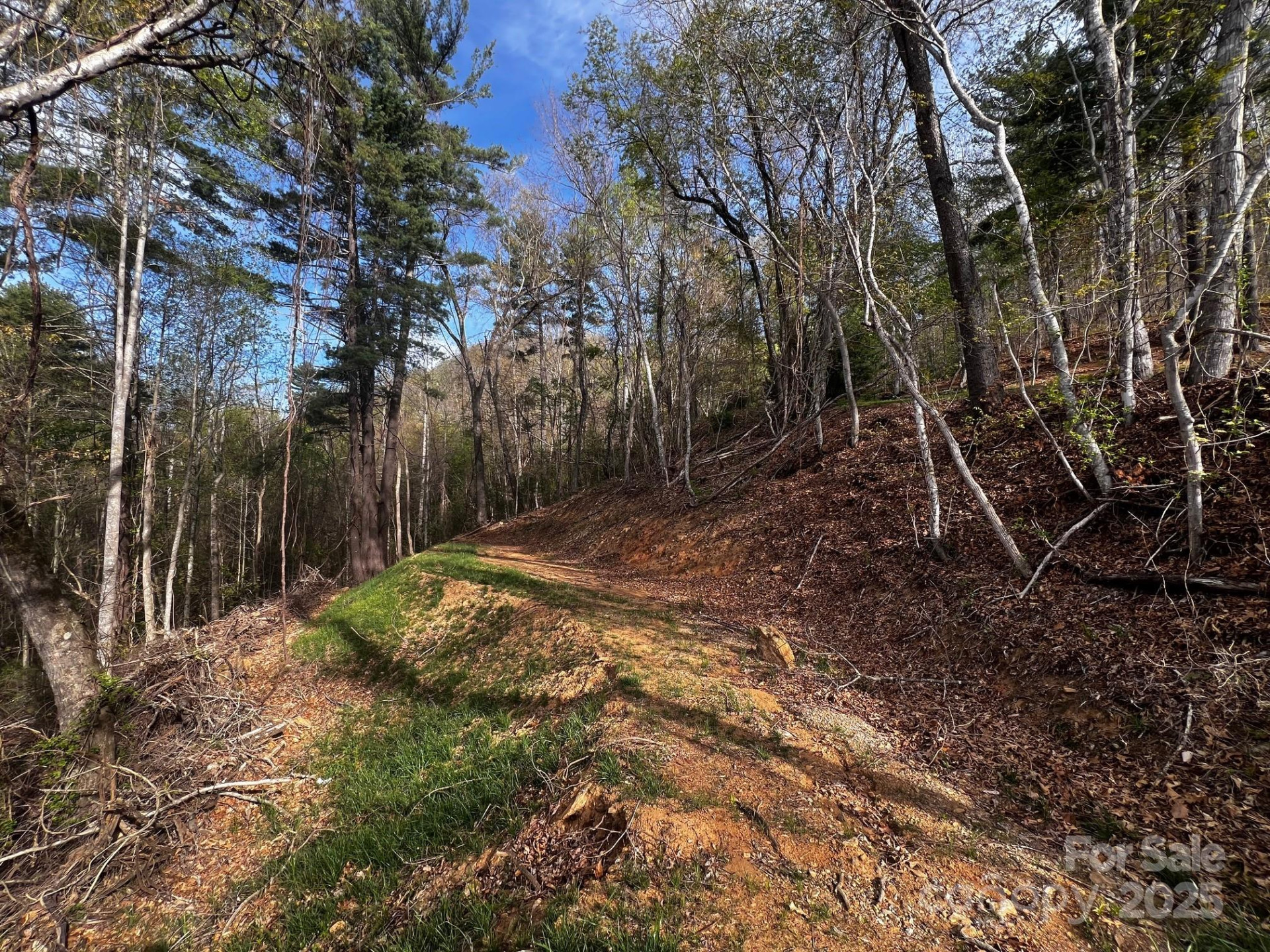 0 Little Creek Drive #5A - Photo 6