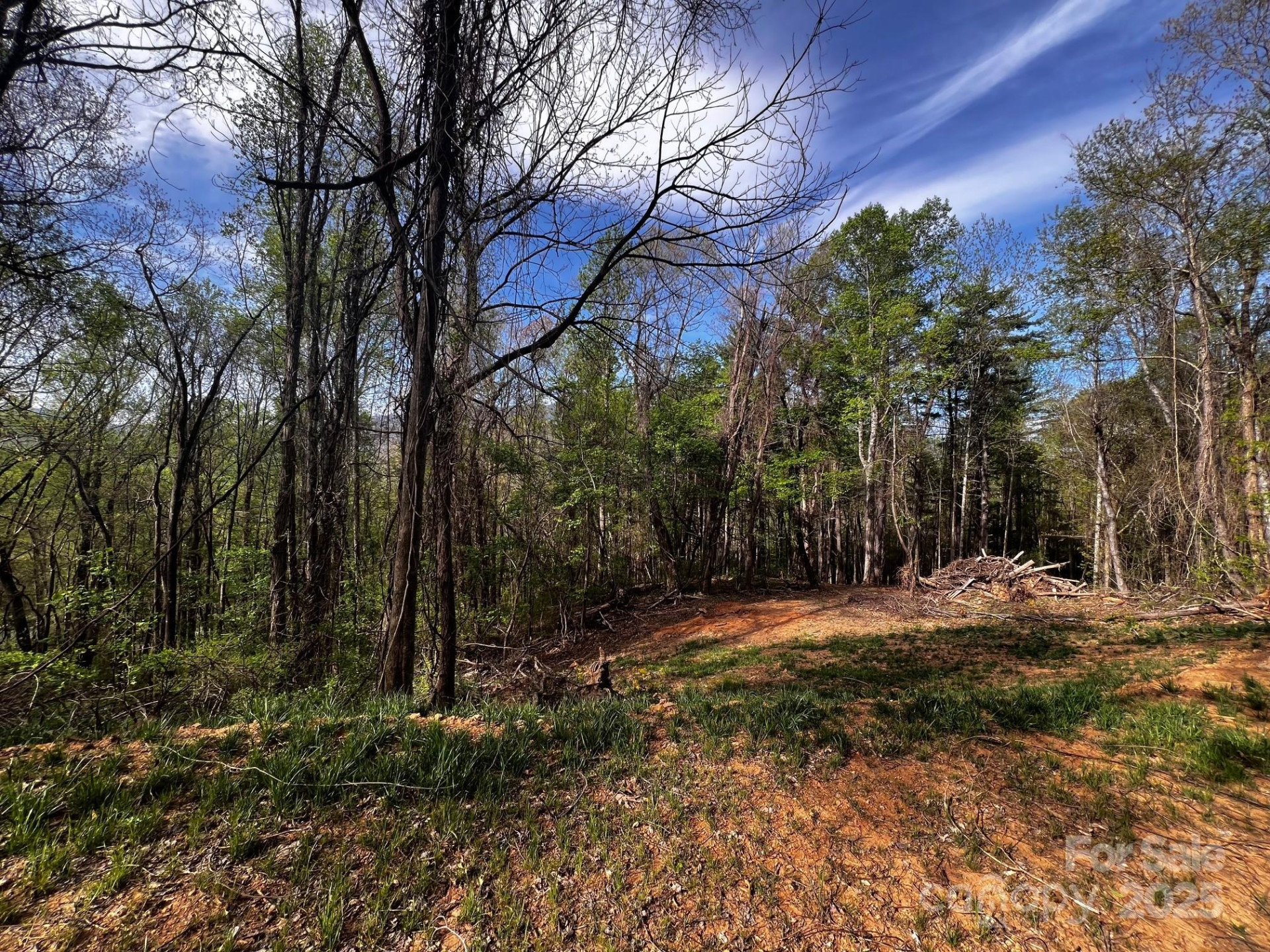 0 Little Creek Drive #5B - Photo 3