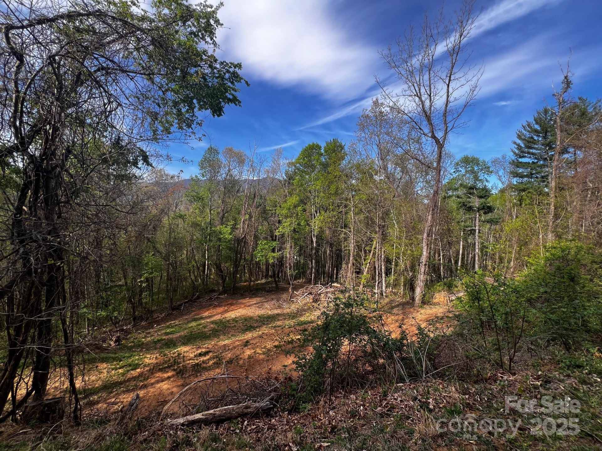 0 Little Creek Drive #5B - Photo 5