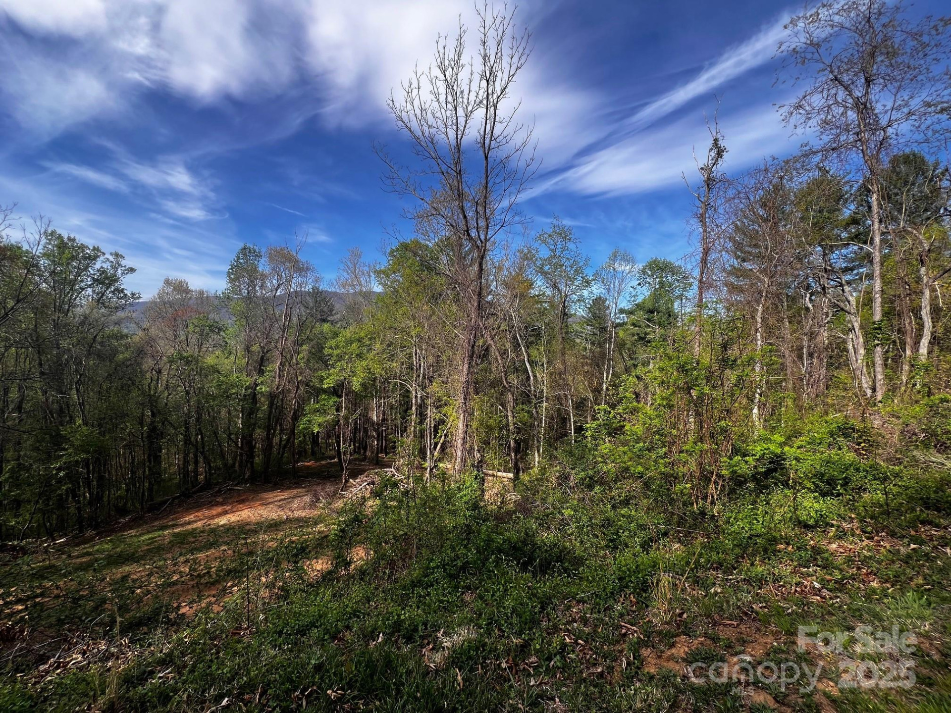 0 Little Creek Drive #5B - Photo 6