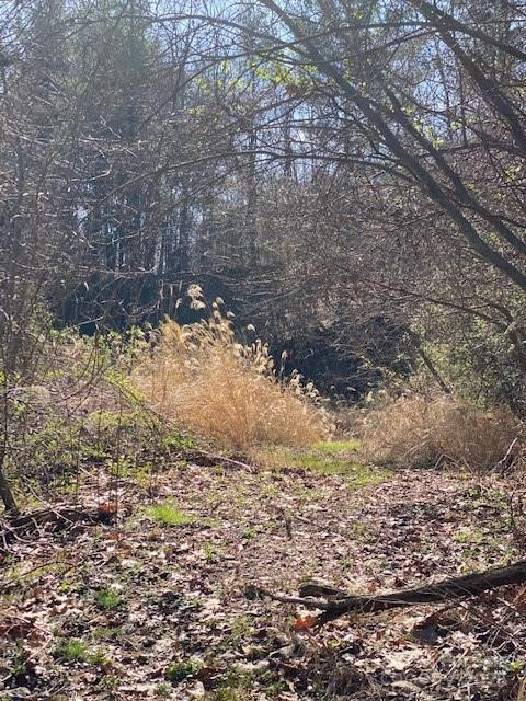 105 Mills Gap Road - Photo 5