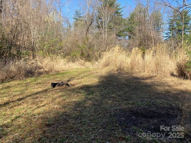 105 Mills Gap Road - Photo 6