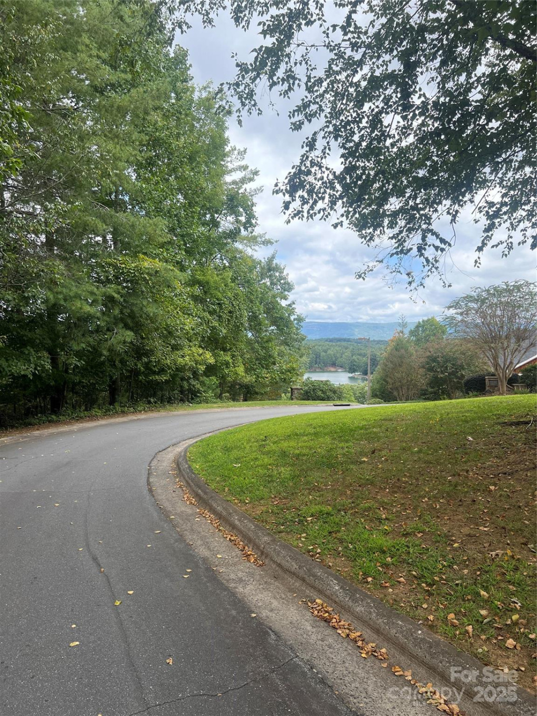 1600 Lillians Point Court #33 - Photo 11