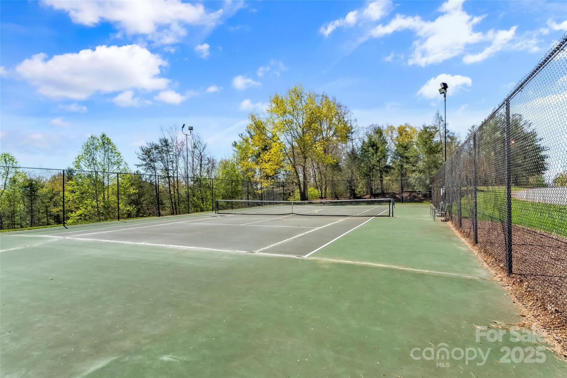 1600 Lillians Point Court #33 - Photo 17