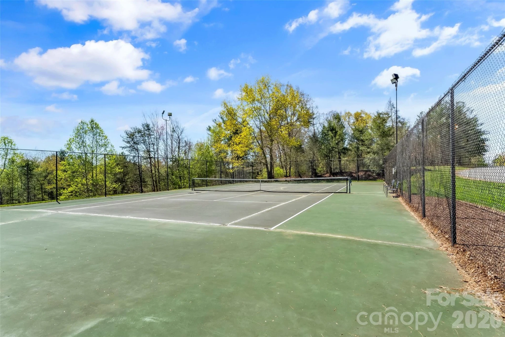 1600 Lillians Point Court #33 - Photo 35