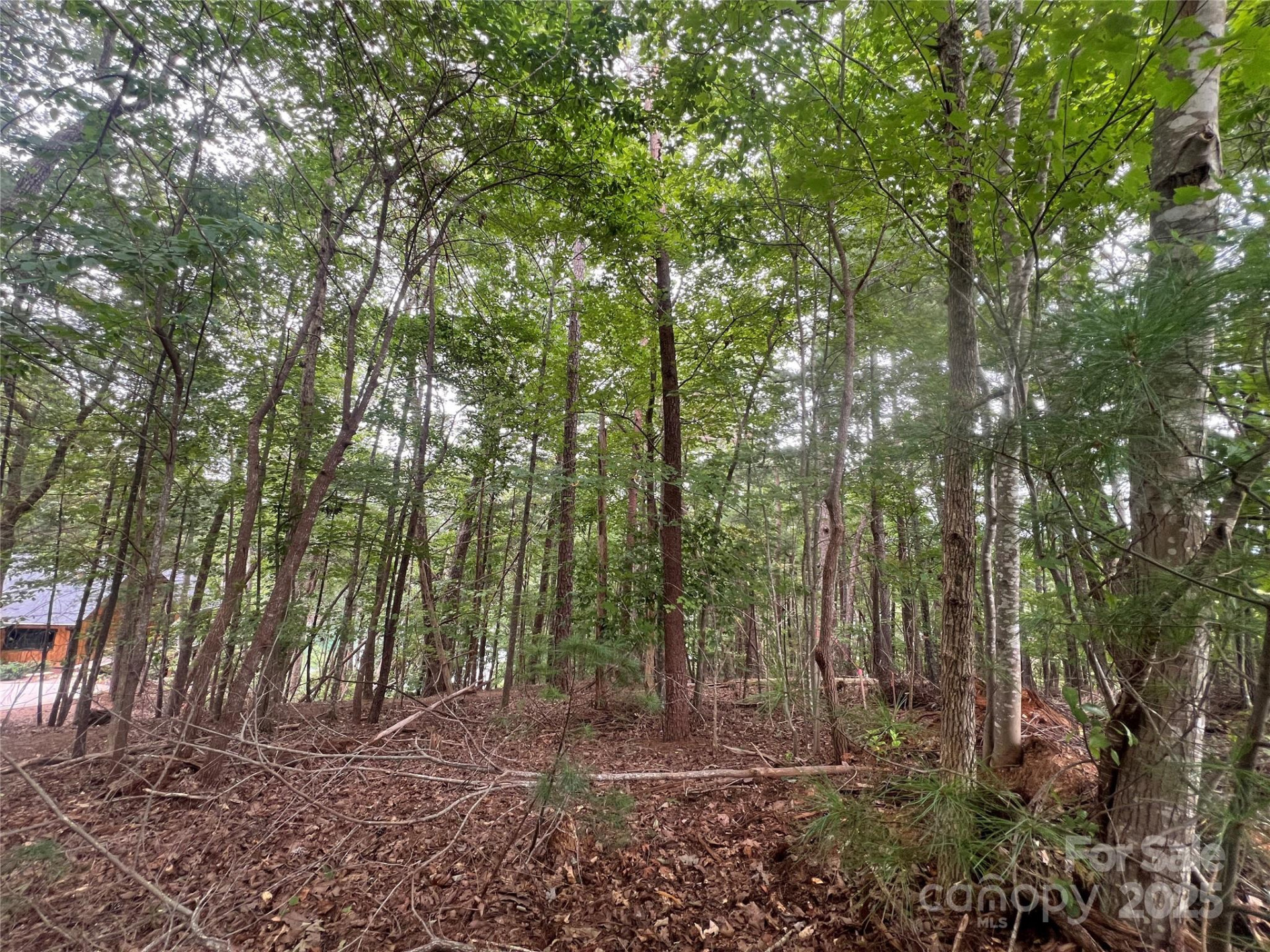 1600 Lillians Point Court #33 - Photo 7