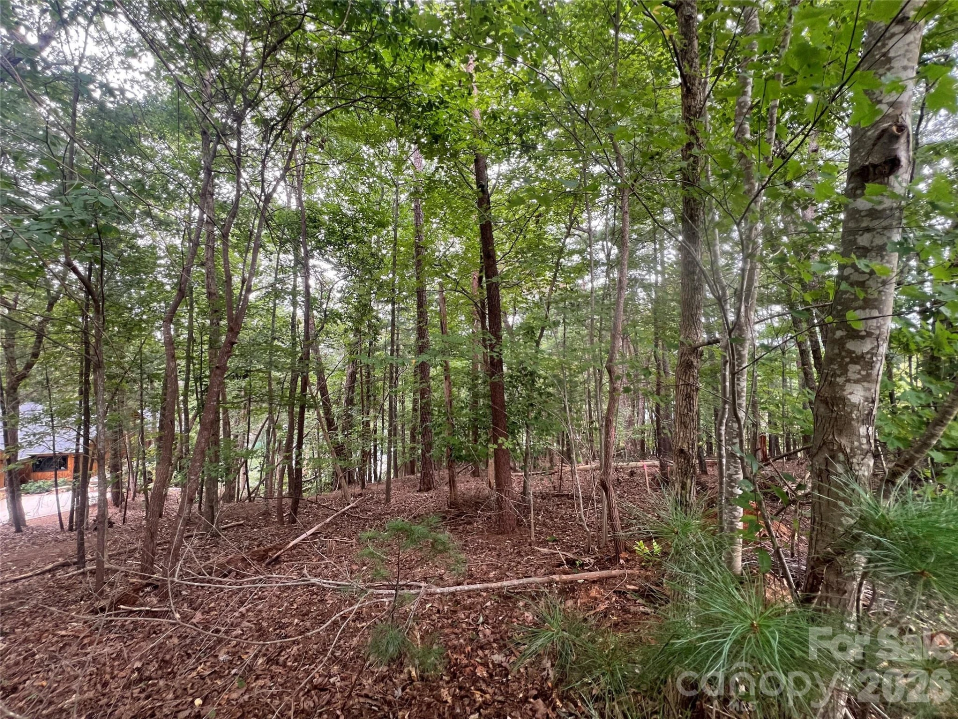 1600 Lillians Point Court #33 - Photo 13