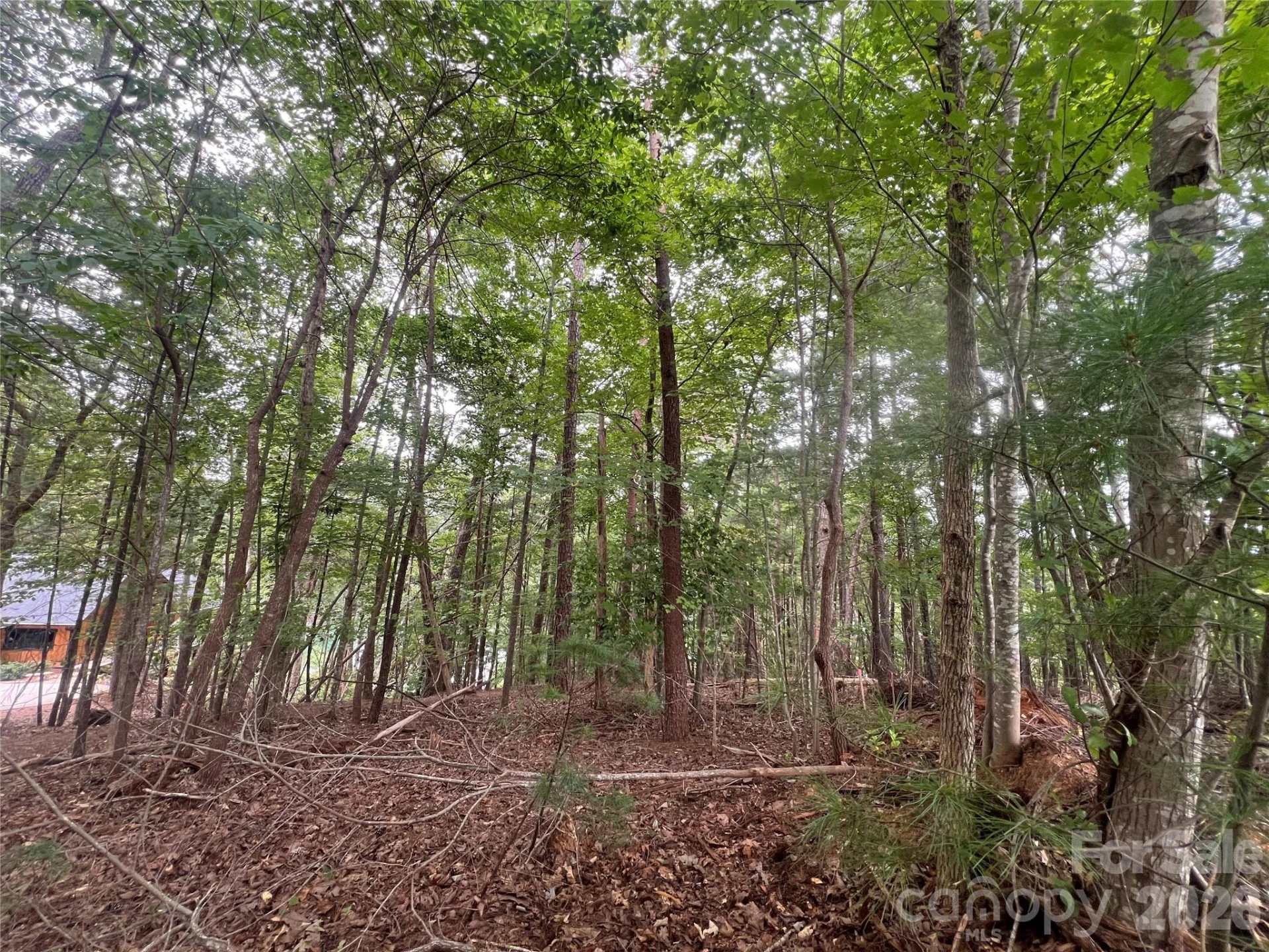 1600 Lillians Point Court #33 - Photo 15